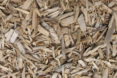 biomass boilers Lemington