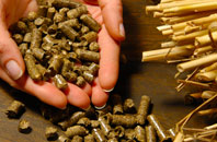 free Lemington biomass boiler quotes
